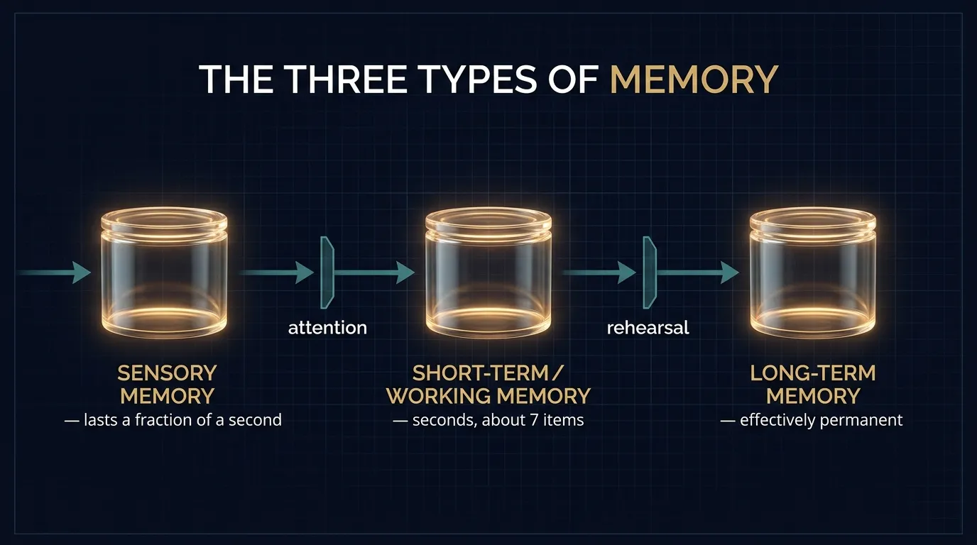 The three types of memory