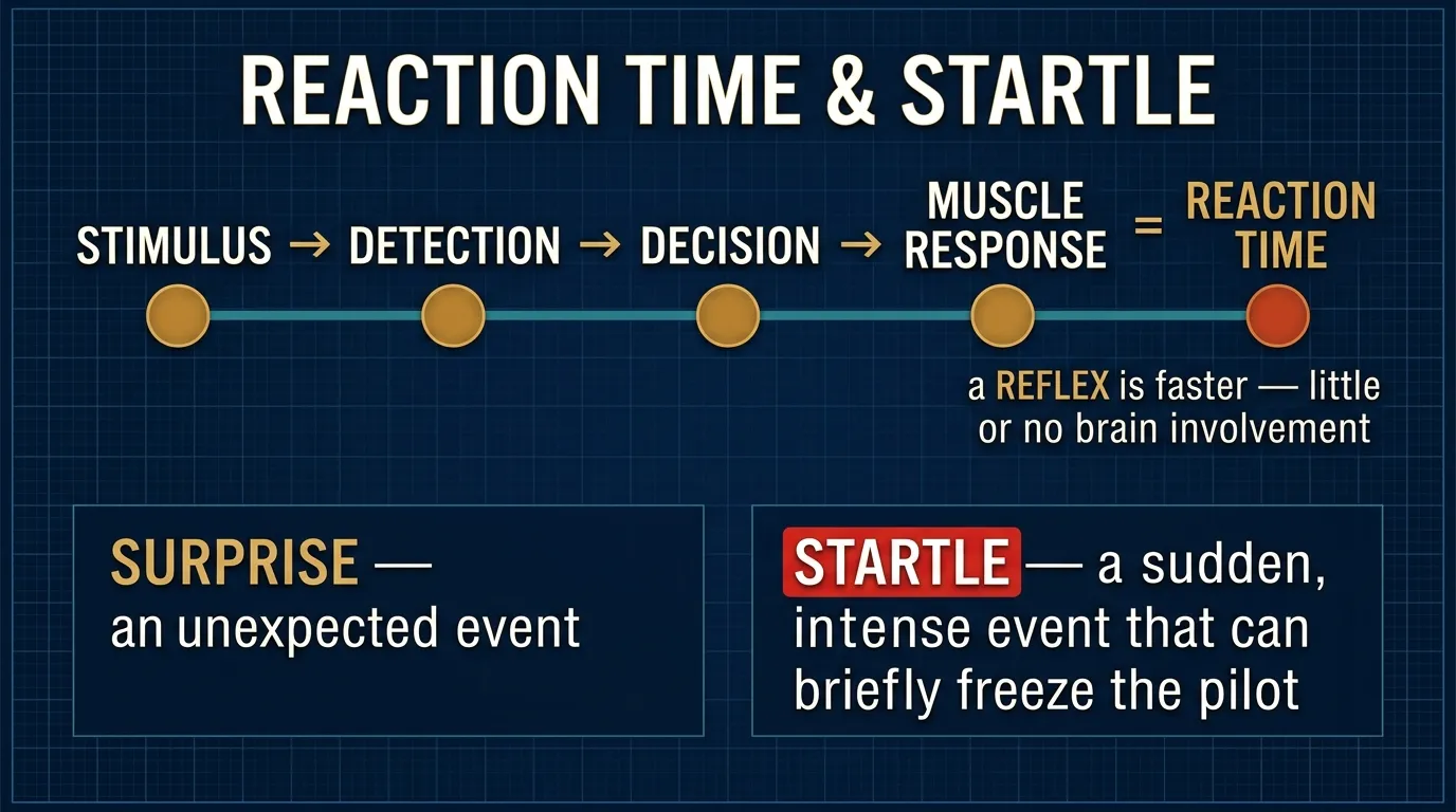 Reflexes, reaction time, surprise and startle
