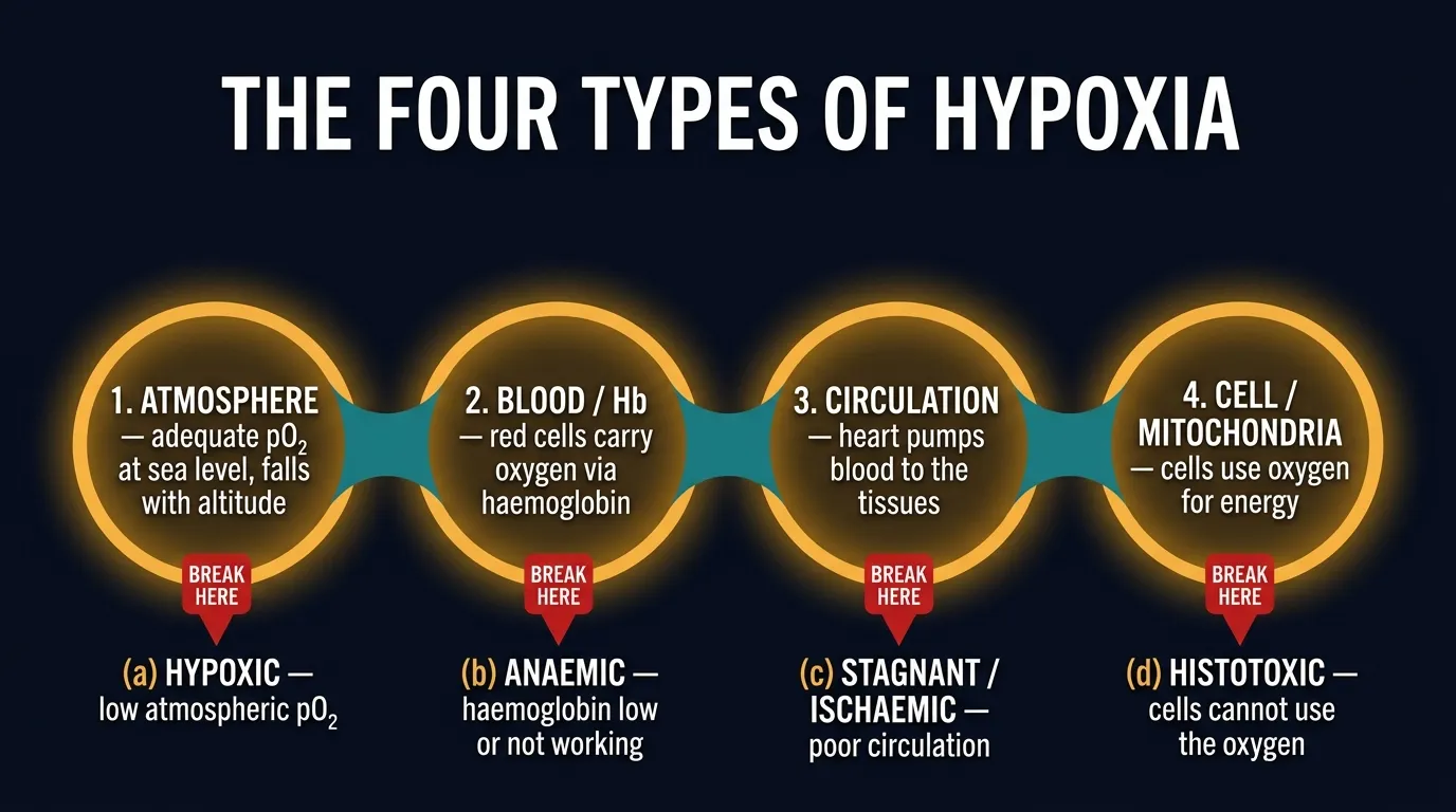 The four types of hypoxia breaking the oxygen-delivery chain