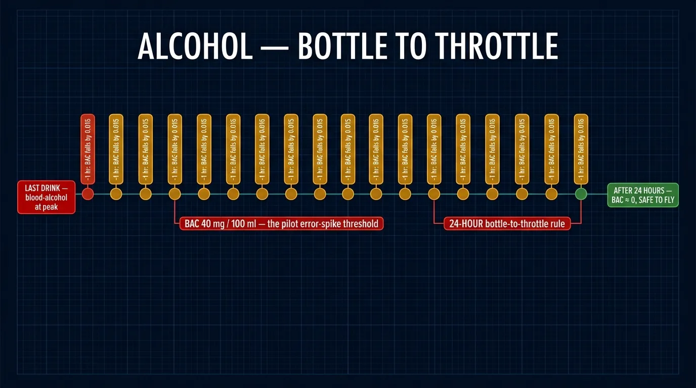 Alcohol — bottle to throttle and metabolism