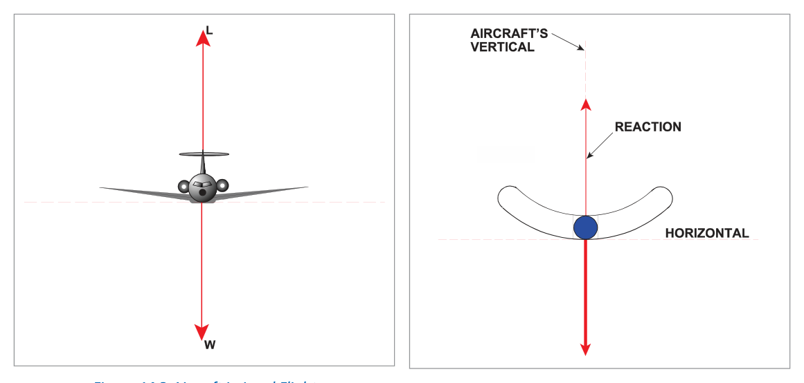 Slip indicator — ball-in-tube, level flight and balanced turn