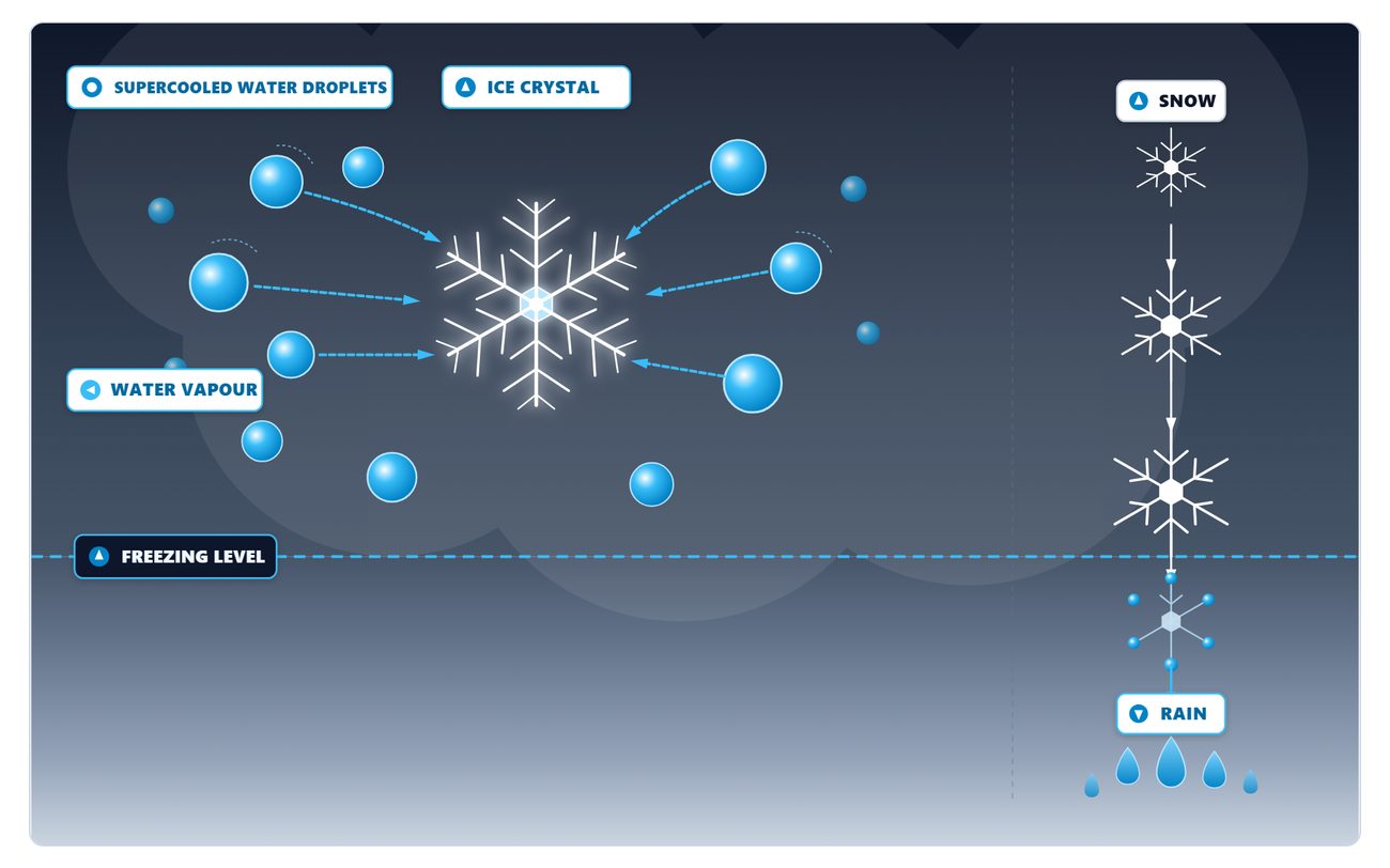 In a cloud above the freezing level, water vapour from evaporating supercooled droplets moves to a growing ice crystal; on the right a snowflake falls through the freezing level and melts into rain.
