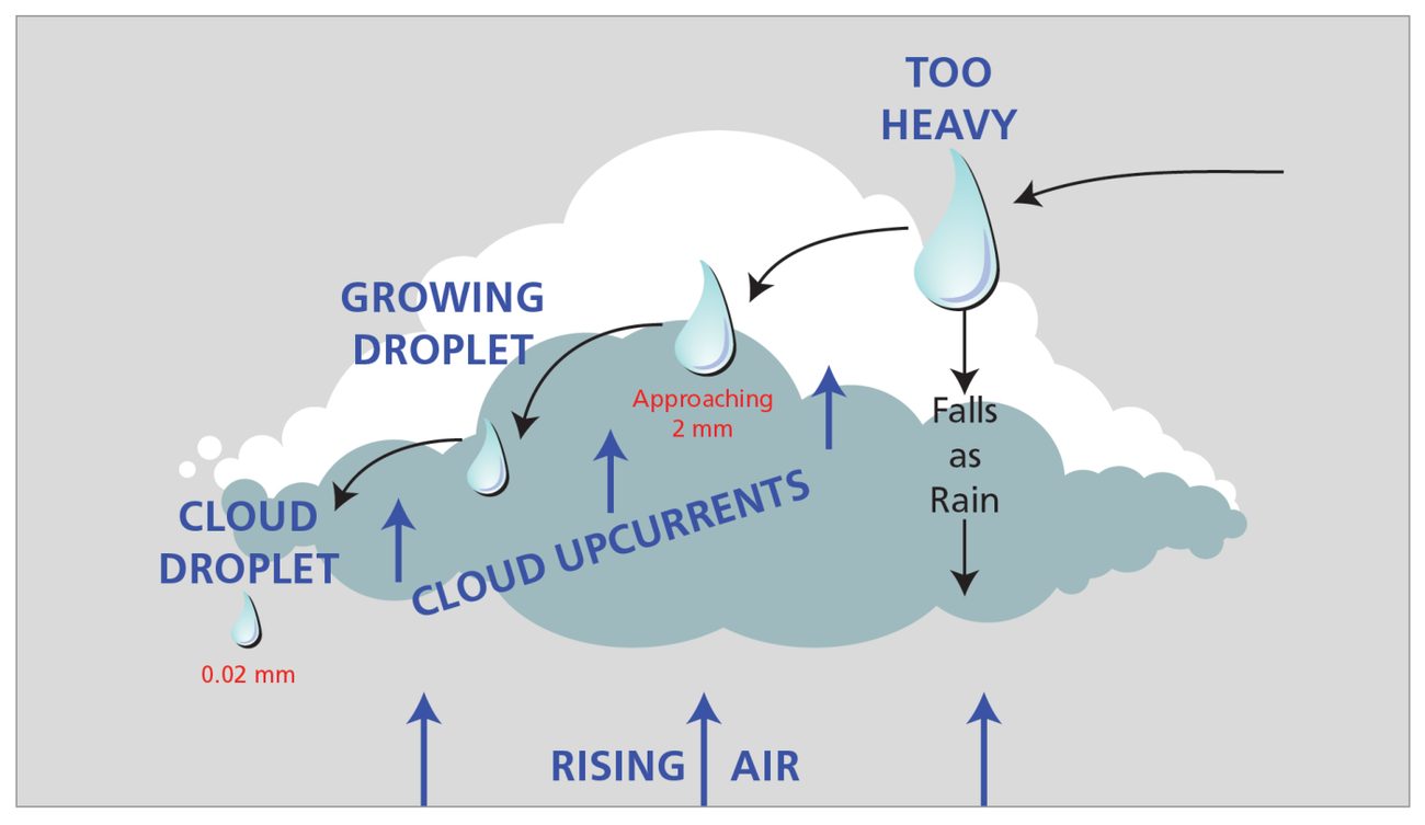 Cloud droplets in an updraught colliding, growing to about 2 mm and falling as rain when too heavy for the updraught.