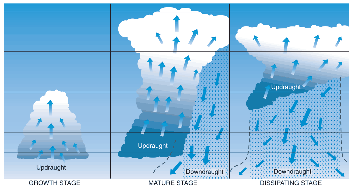 Growth stage with updraught only, mature stage with updraught and downdraught, and dissipating stage with downdraught.