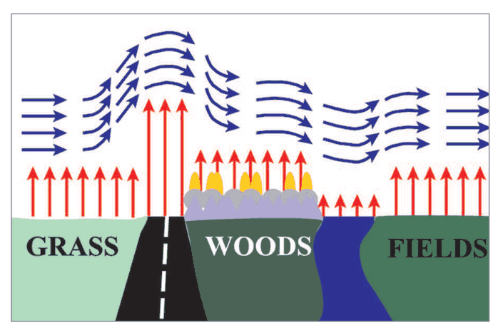 Air rising over fields and falling over woods, with different heating by ground type.