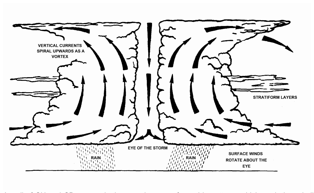 The eye with descending air, the wall of cloud around it, vertical currents spiralling upwards, stratiform layers and rain, and surface winds rotating about the eye.