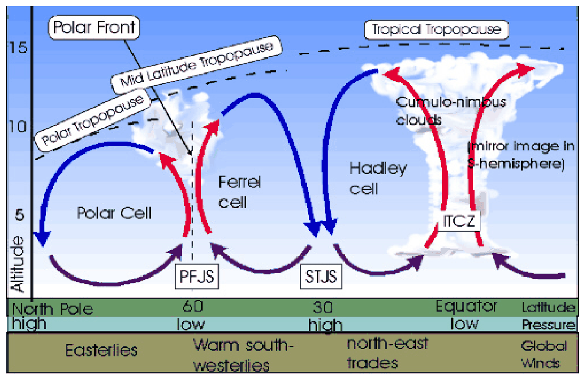 Polar, Ferrel and Hadley cells in height with the polar front jet stream, the sub-tropical jet stream, the ITCZ cumulonimbus and the tropopause.