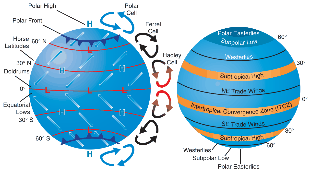 Globe with Polar, Ferrel and Hadley cells, polar front, horse latitudes, doldrums and equatorial lows, with the pressure belts and winds of each zone.
