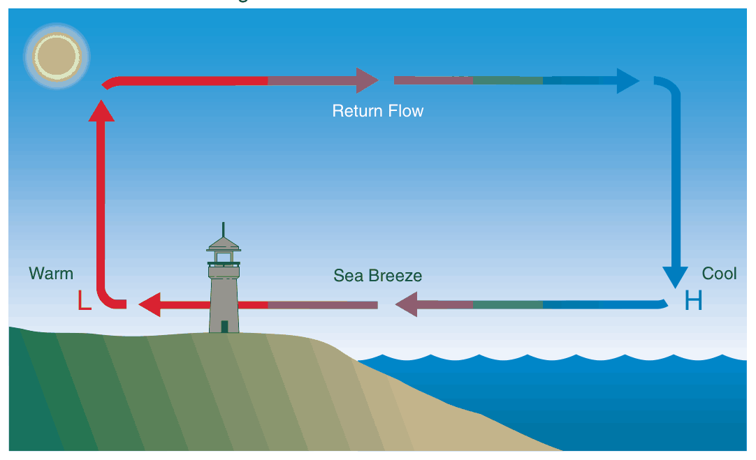 The sun heats the land: warm air rises over the land with low pressure, cool air flows from the sea at the surface, and a return flow aloft.