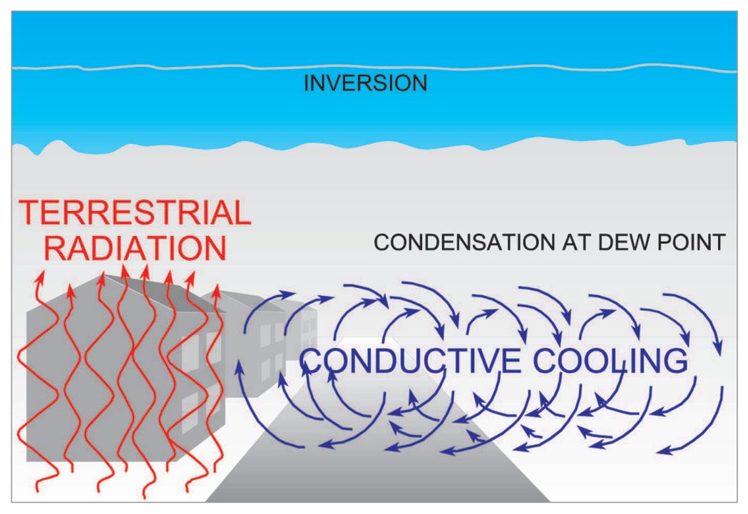 Terrestrial radiation cooling the ground at night and the air conductively cooled to dew point under an inversion.