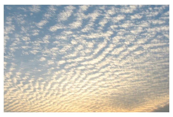 Photograph of cirrocumulus: a field of small white grains in rows.