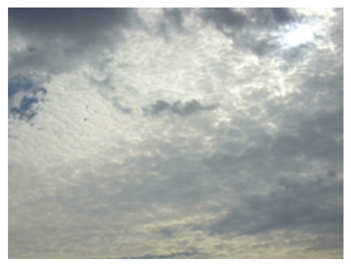 Photograph of altocumulus in small rolls.
