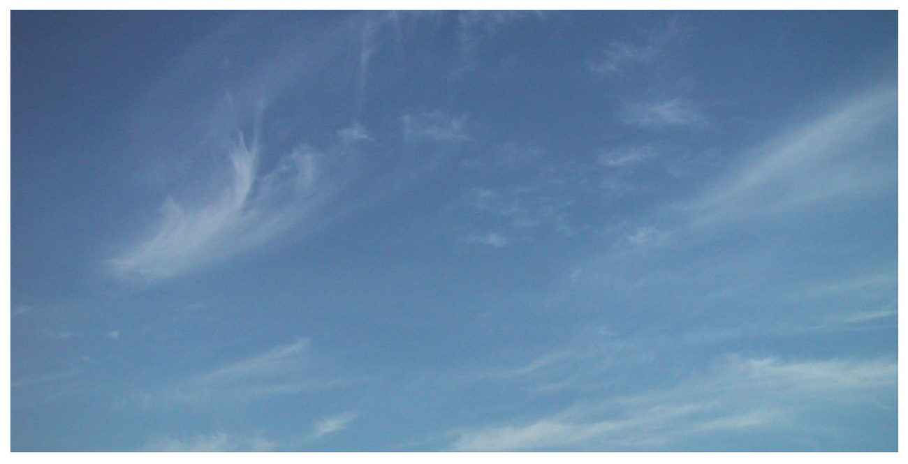 Photograph of white wispy cirrus filaments in a blue sky.
